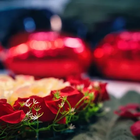 Appartamento Le Petit Sensual Bali Option 300m Place Stanislas *