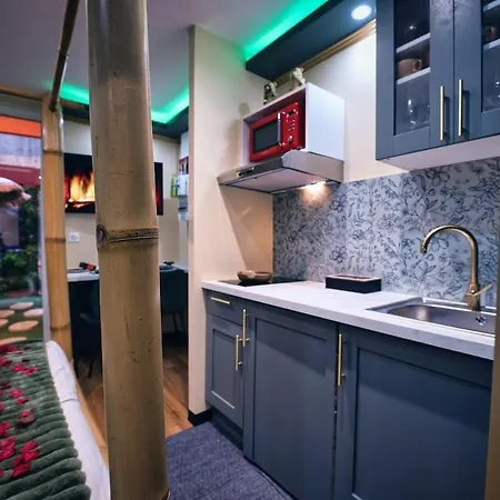 Le Petit Sensual Bali Option 300m Place Stanislas * Nancy